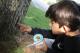 Incroyables_insectes_ pro_natura