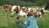 Agriculture et alimentation